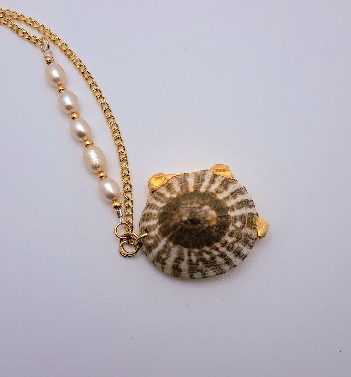 Seashell Pendant