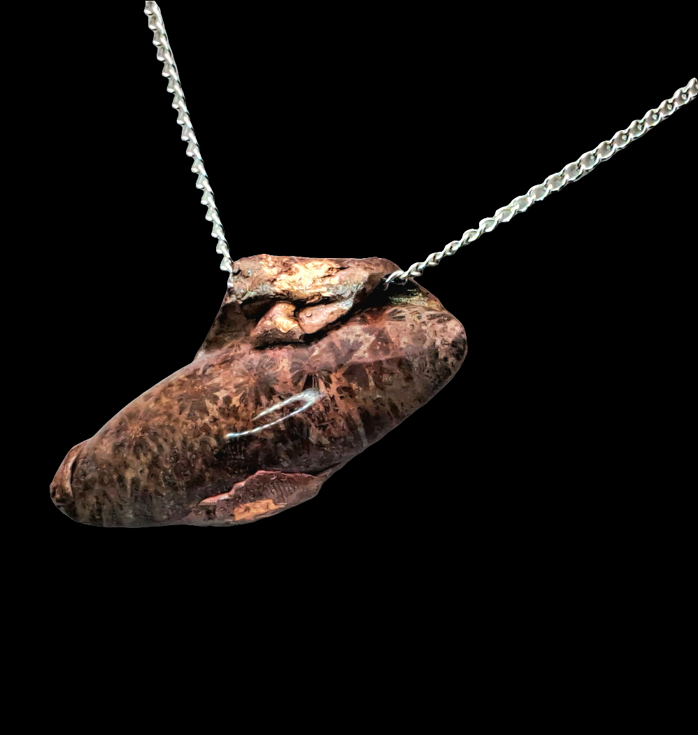 Starburst Coral Fossil Pendant