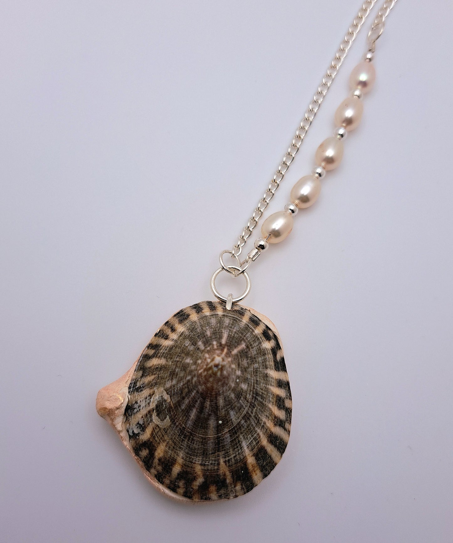 Seashell Pendant