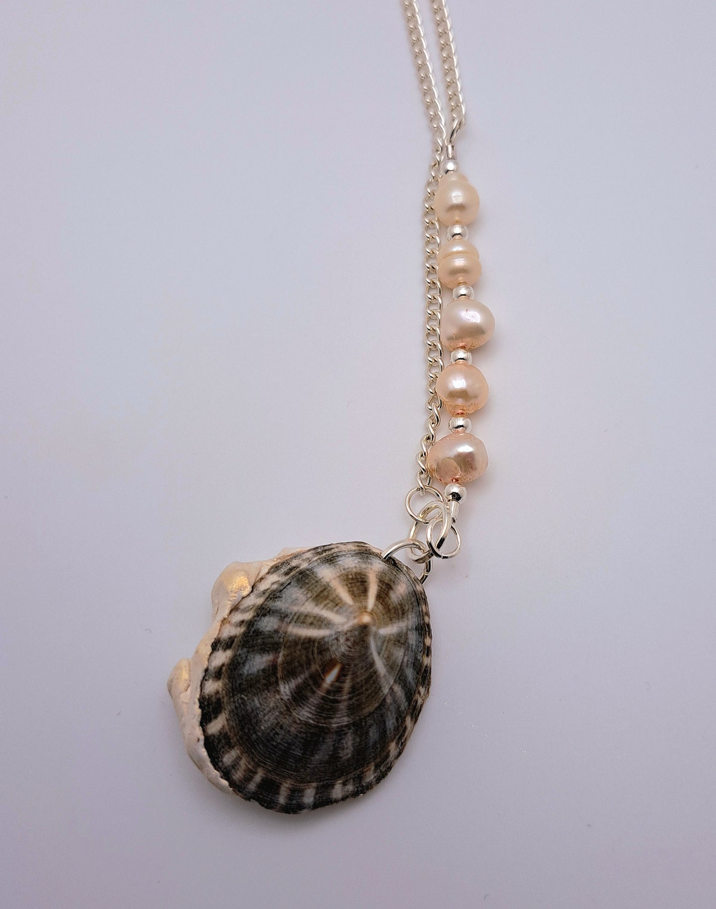 Seashell Necklace