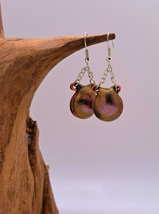 Clamshell Earrings