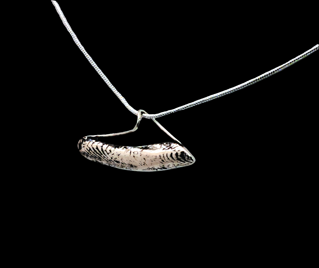 Cuttlefish Delicate Pendant